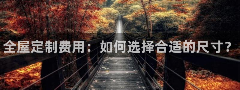 bb电子哪个平台好用