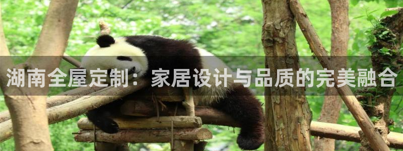 bb电子游戏作弊