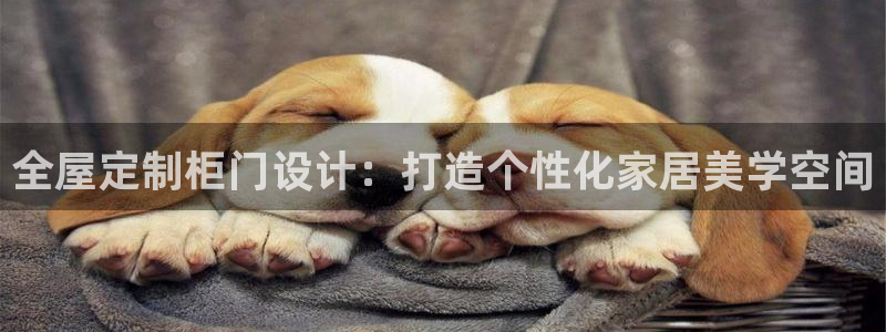 bB电子琴和弦
