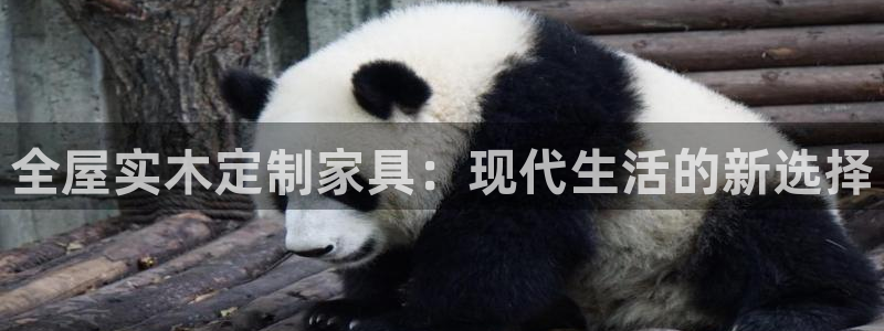 bb电子掉彩金