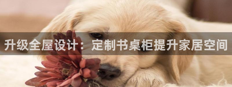bb电子怎么赢