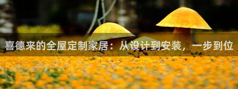bb电子哪个平台好一点