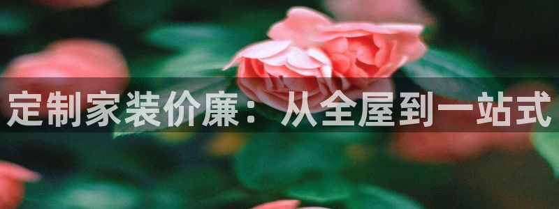 bb电子哪个平台好点