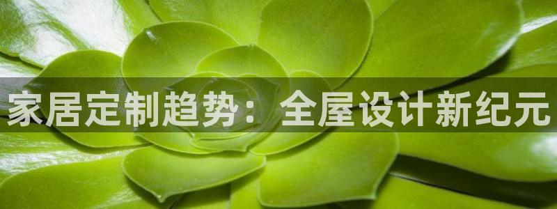 bb电子官网