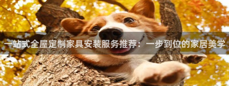 bb电子mini彩金掉落规则