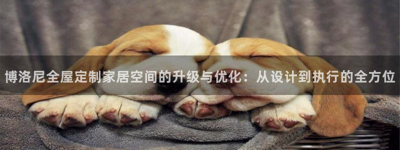 bb电子哪个平台好用
